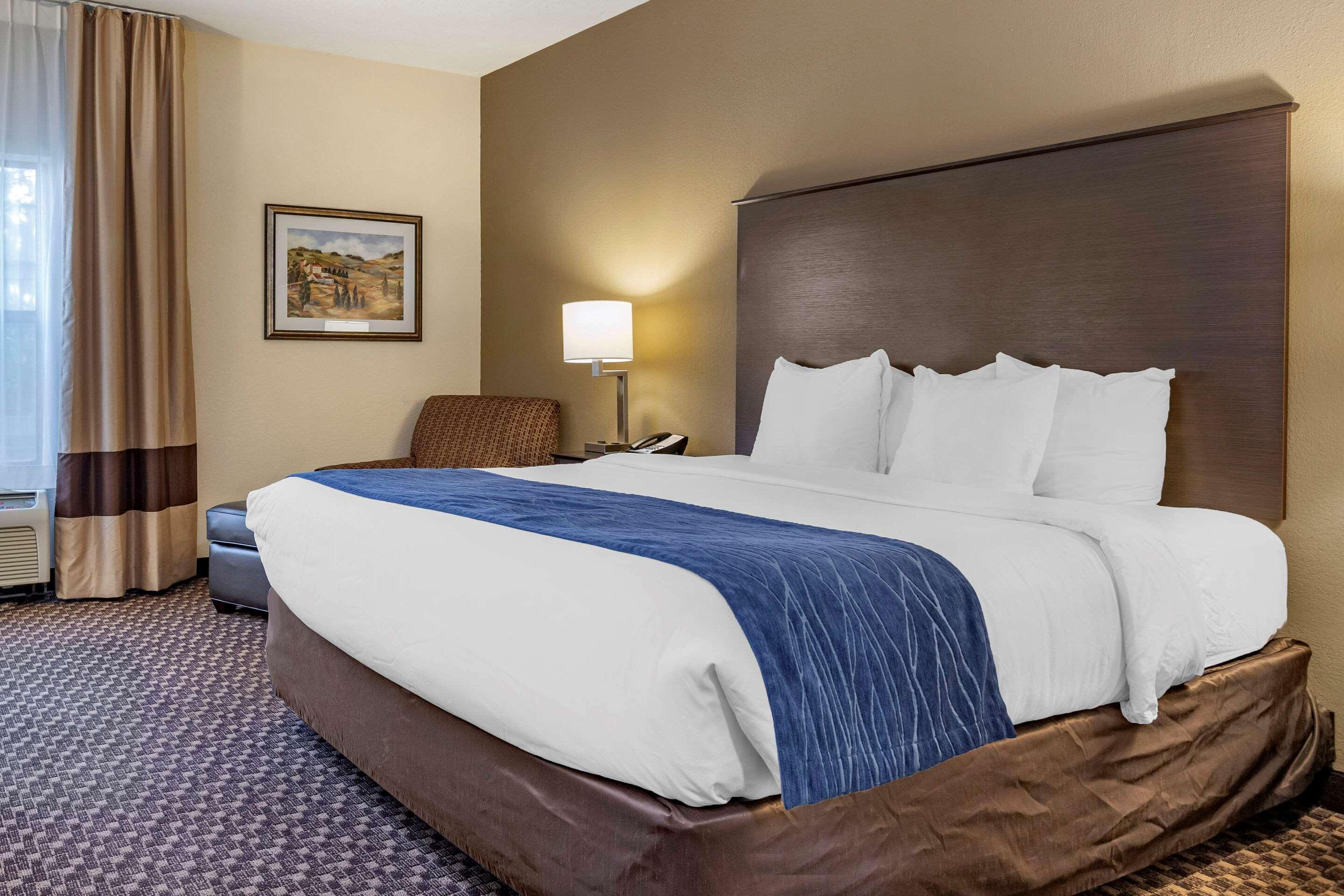 Comfort Inn Wings Stadium Kalamazoo Exterior photo